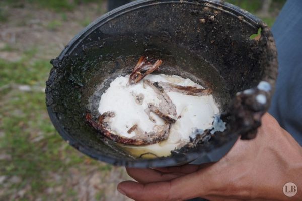 kampungstay-desa-murni-pahang-malaysia-22